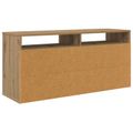 vidaXL Nízka skriňa 102 x 32 x 48,5 cm Remeselný dub