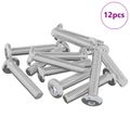 vidaXL Skrutka s hlavou a zámkom 12 ks Strieborná M6 x 30 mm Oceľ
