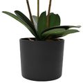 vidaXL Umelá orchidea s kvetináčom Biela 45 x 15 x 65 cm