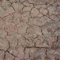AK Interactive: Effects - Wet Crackle