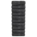 vidaXL Prémiové umývacie utierky SOLUND 10 ks antracitové 30x30 cm 600 g/m²