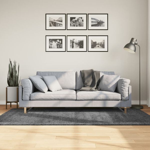 vidaXL Koberec OVIEDO, krátky vlas, antracitový 100x200 cm
