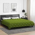 vidaXL Zimný prehoz 240 x 260 cm 450 gsm Mikrovlákno (100% polyester)