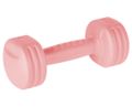 Posilňovacie činky 2x1kg, REBEL ACTIVE RBA-2305, ružové Posilovací činky 2x1kg, REBEL ACTIVE RBA-2305, růžové