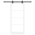 vidaXL Posuvné dvere ORKDAL 93 x 211 cm Biela a čierna