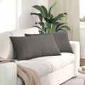 vidaXL Vankúše na pohovku 2 pcs Svetlosivá 80 x 40 cm
