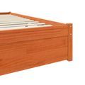 vidaXL Rám postele Včelí hnedý 180 x 200 cm Masívne borovicové drevo