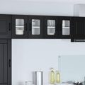 vidaXL Nástenný sklenený kabinet PORTO Čierna 60 x 31 x 40 cm