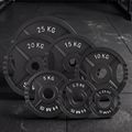 Olympijský kotúč HMS TOD01 1,25 kg