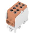 Svorkovnica rozbočovacia HLAK 25 1/2 M2, 100A, 1pól., AL/CU, IP20, hnedá, na DIN /2080139
