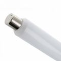 LED Bulb S19 6W 230V 6000K 650lm Forever Light