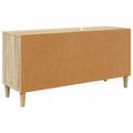 vidaXL TV skrinka BORNE 102 x 33 x 50 cm Sonoma Kompozitné drevo