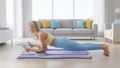 Fitness sada na pilates REBEL ACTIVE RBA-3069-PU multifunkční 9v1 fialová