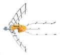 TV anténa Televes ELLIPSE LTE700 + 12V zdroj Picokom