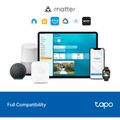 TP-LINK Tapo S110E Smart Switch, Prepínač