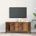 vidaXL TV skrinka 100 x 35 x 45 cm Staré drevo Kompozitné drevo