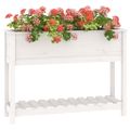 vidaXL Kvetináč s policou biely 111,5x34,5x81 cm masívna borovica