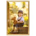 vidaXL Fotorámiky na stenu, koláž 5 ks, zlaté 50x70 cm, MDF
