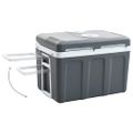 vidaXL Prenosný termoelektrický chladiaci box 40 l 12 V 230 V E