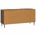 vidaXL TV skrinka 102 x 34,5 x 52 cm Dymový dub Kompozitné drevo