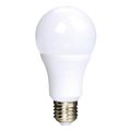 LED žiarovka SOLIGHT WZ508A-2 A60 E27 12W