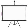 vidaXL Projekčné plátno so statívom 60" 16:9