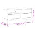 vidaXL TV skrinka FLAM 110x40x50 cm masívna borovica