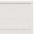 vidaXL Dvere do stodoly biele 100x208 cm masívna borovica