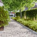 vidaXL Obrubník trávnika 50 ks 10 x 103 cm Pozinkovaná oceľ Strieborná