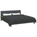 vidaXL Zimný prehoz 200 x 200 cm 450 gsm Mikrovlákno (100% polyester)