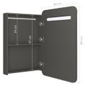 vidaXL LED kúpeľňová zrkadlová skrinka antracitová 60x11x80 cm