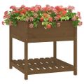 vidaXL Kvetináč s policou medovohnedý 82,5x82,5x81 cm masívna borovica