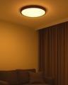 LED stropní 3CCT svítidlo TR-85S - 40W 4300lm ø50x2,7cm Trixline