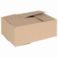 vidaXL Skladací box 50 ks Prírodná 25 x 17,5 x 10 cm Kartón