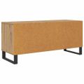 vidaXL TV skrinka 100 x 34,5 x 44,5 cm Remeselný dub