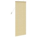 vidaXL Roleta Príroda 60 x 160 cm Bambus