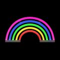 Neon LED Light RAINBOW 5 colors FLNE14X Forever Light