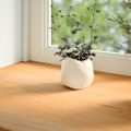 vidaXL Okenný parapet 2 ks svetlohnedá 70x20x2 cm dubový masív