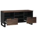vidaXL TV jednotky 100 x 33 x 46 cm Orech Kompozitné drevo