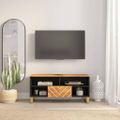 vidaXL TV skrinka hnedo-čierna 100x33,5x46 cm masívne mango