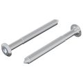 vidaXL Skrutka 2 ks Strieborná M6 x 60 mm Oceľ