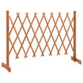 vidaXL Záhradný mriežkový plot oranžový 150x80 cm masívne jedľové drevo