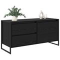 vidaXL TV skrinka 100 x 36 x 49.5 cm Čierny dub Kompozitné drevo
