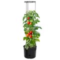 vidaXL Kvetináč na paradajky antracitový Ø39x150 cm polypropylén