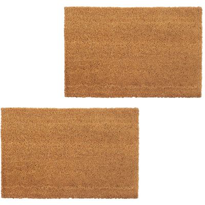 vidaXL Rohožky, 2 ks, kokosové vlákno, 24 mm, 40x60 cm, prírodná farba