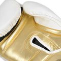 Boxerské rukavice DBX BUSHIDO B-2v19 10 oz