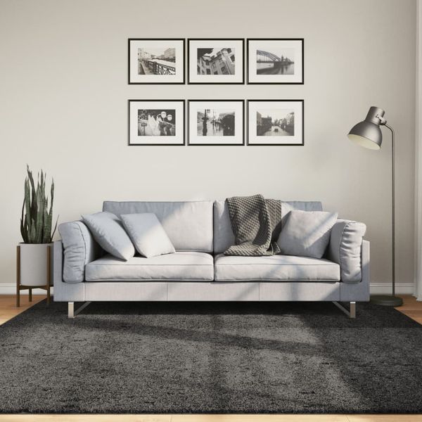 vidaXL Shaggy koberec PAMPLONA, vysoký vlas moderný antracit 200x200cm