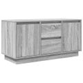vidaXL TV skrinka s LED svetlami sivá sonoma 100x41x50 cm