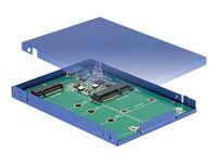 Kryt úložiště - M.2 Card / mSATA - USB 3.1 (Gen 2)