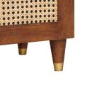 vidaXL TV skrinka Hnedá 100 x 33,5 x 46 cm Masívne mango drevo